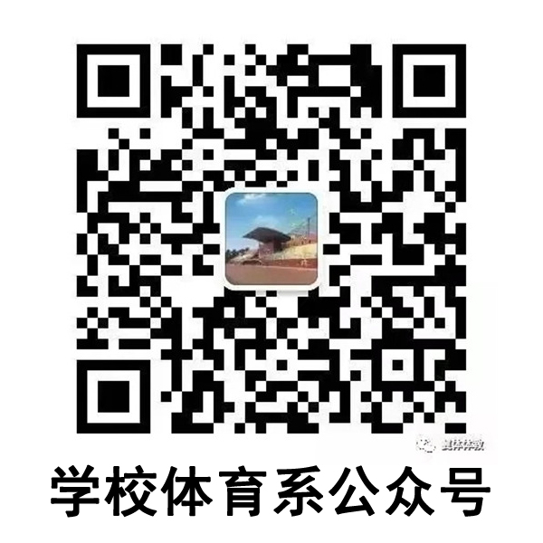乐球体育直播